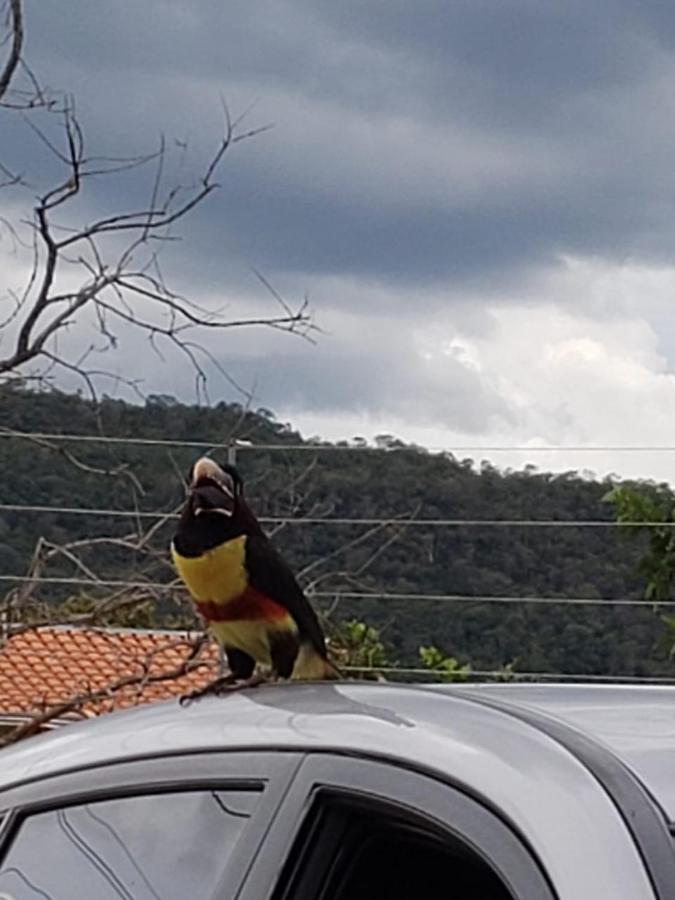 Pousada Canto Dos Passaros Pirenópolis Екстериор снимка